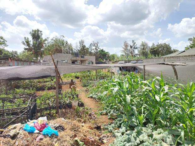 Membly Estate Prime 1/4 Acre Plot With Perimeter Wall 4 Sale - thumbnail 8