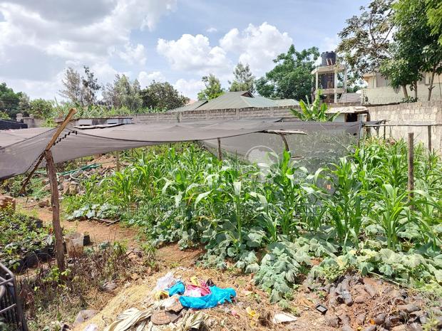 Membly Estate Prime 1/4 Acre Plot With Perimeter Wall 4 Sale - thumbnail 9