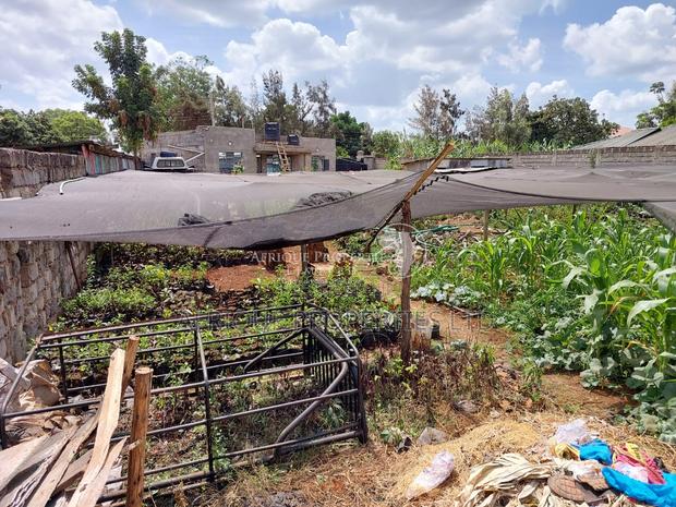 Membly Estate Prime 1/4 Acre Plot With Perimeter Wall 4 Sale - thumbnail 10