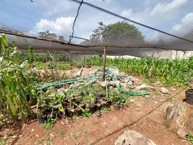 Membly Estate Prime 1/4 Acre Plot With Perimeter Wall 4 Sale - thumbnail 11