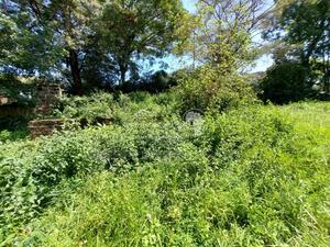 Old Runda Estate 1/2 Acre Plot on Distress Sale - thumbnail 2