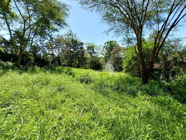Old Runda Estate 1/2 Acre Plot on Distress Sale - thumbnail 3