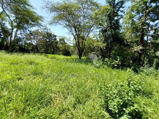 Old Runda Estate 1/2 Acre Plot on Distress Sale - thumbnail 7