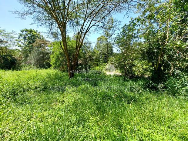 Old Runda Estate 1/2 Acre Plot on Distress Sale - thumbnail 6