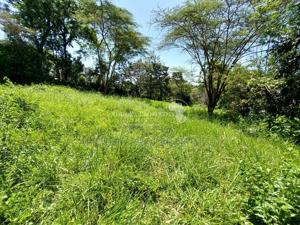Old Runda Estate 1/2 Acre Plot on Distress Sale - thumbnail 8