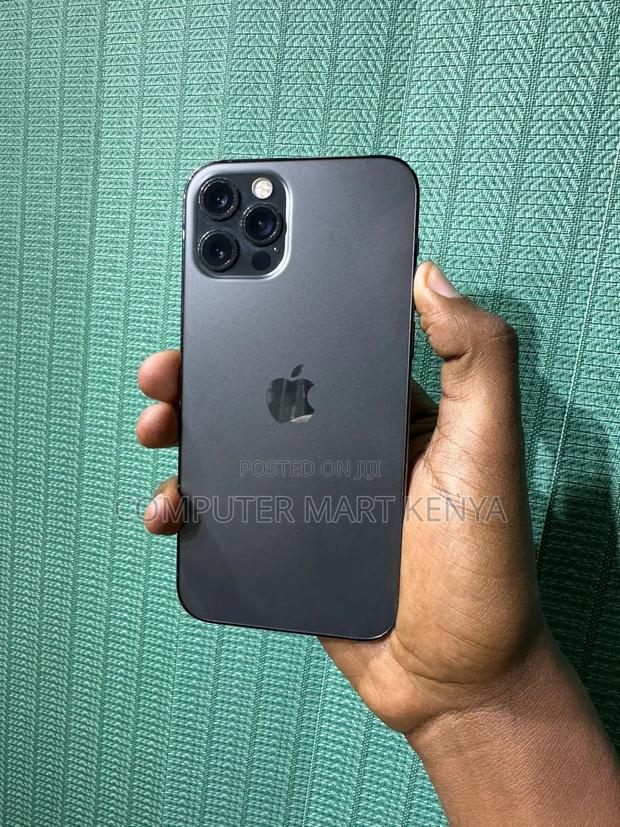 Apple iPhone 12 Pro Max 256 GB Gray - main view