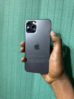 Apple iPhone 12 Pro Max 256 GB Gray