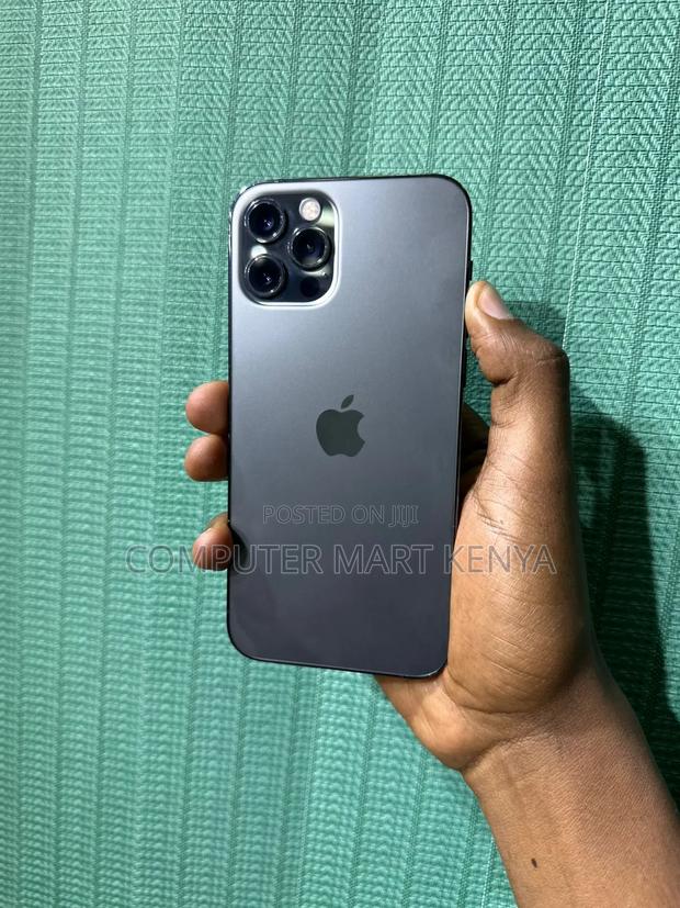 Apple iPhone 12 Pro Max 256 GB Gray - thumbnail 3