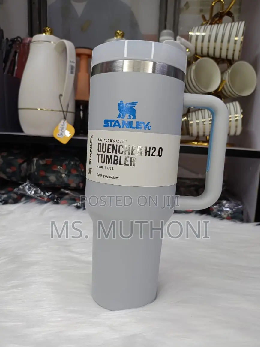 Original Stainless Insulated Stanley Mugs in Random Colors