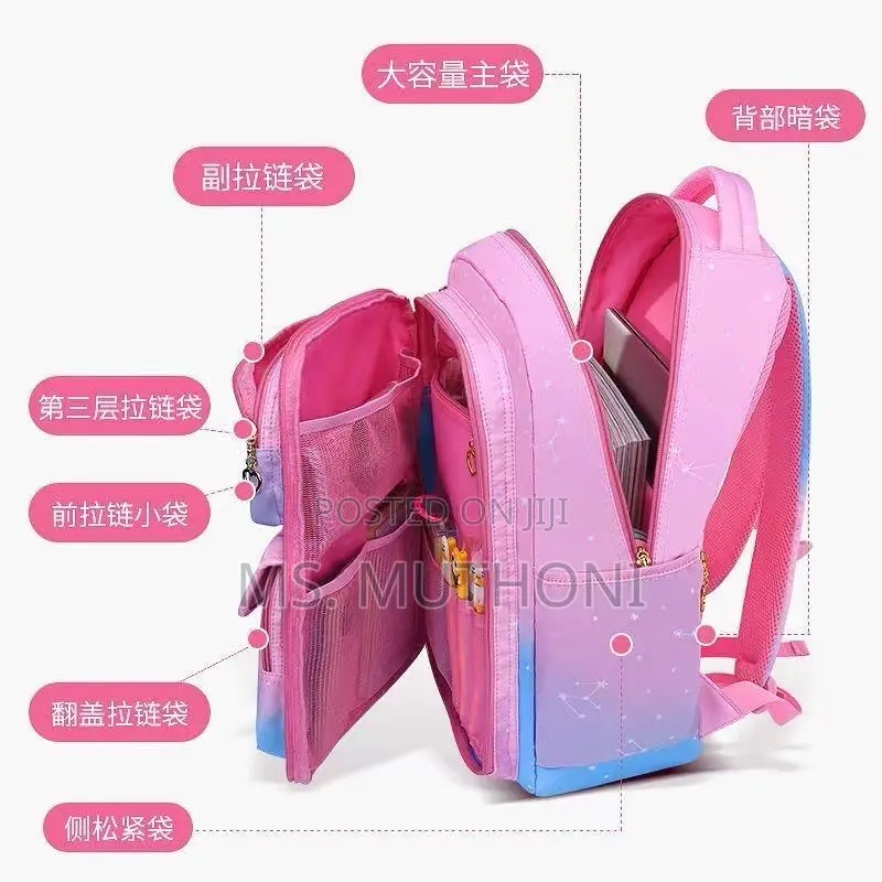 School Bags Backpack With Multiple Compartments*