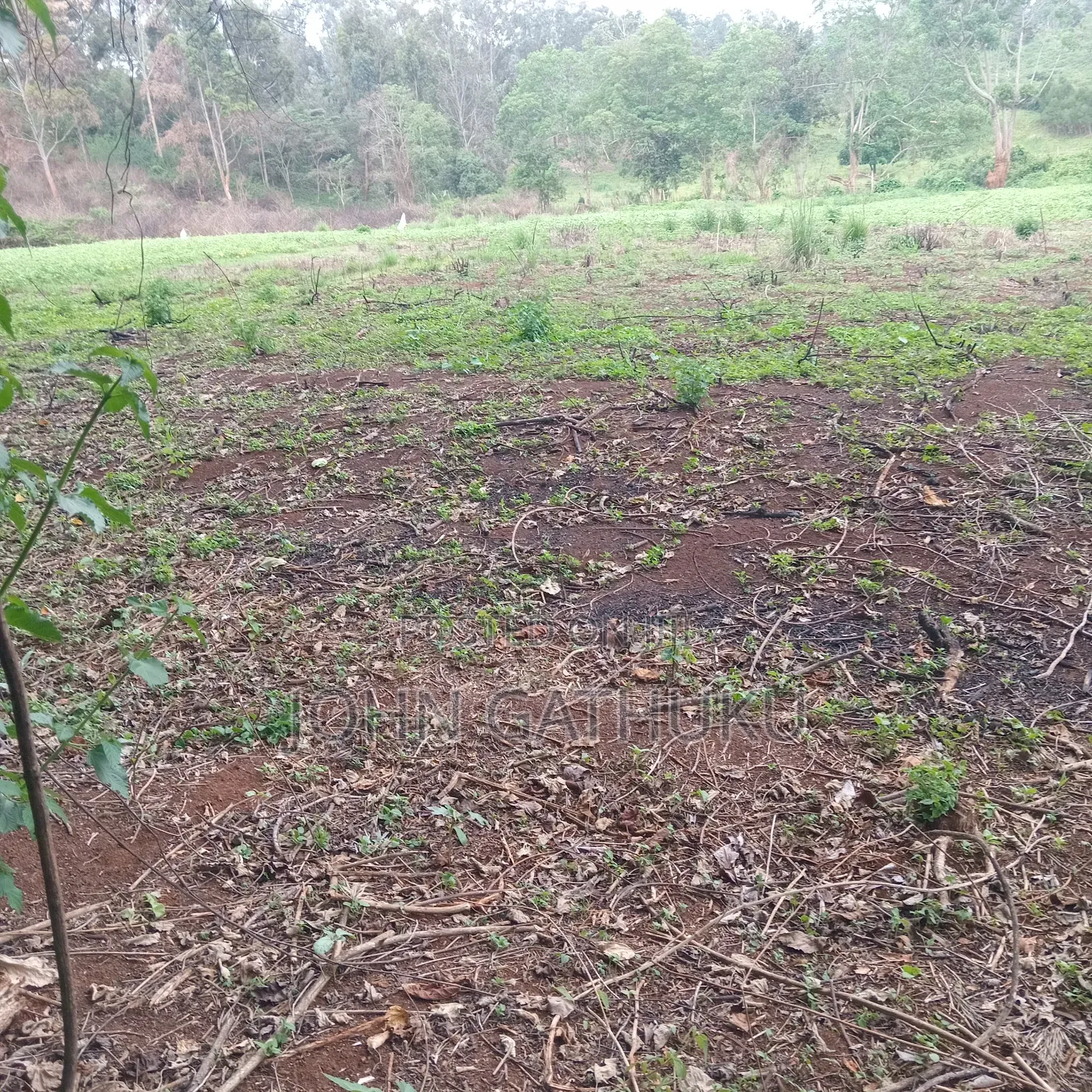 Plot 4 Sale