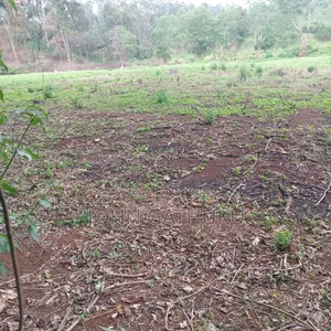 Plot 4 Sale
