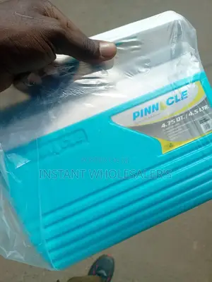 Portable Pinnacle 4.5litres Cooler Box
