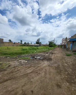 Prime 50x100 Lot in Thika