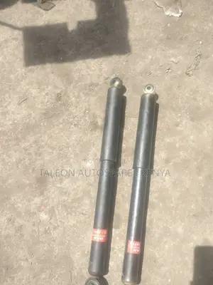 Toyota Passo Rear Shocks