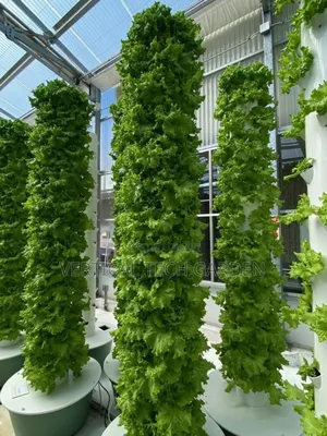 Tower Garden