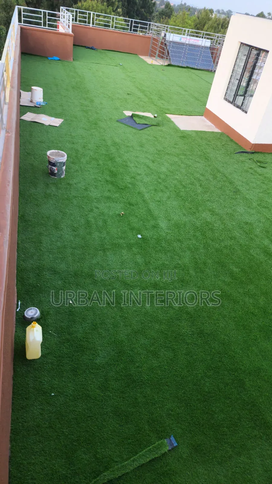 Green Carpet Green Carpet