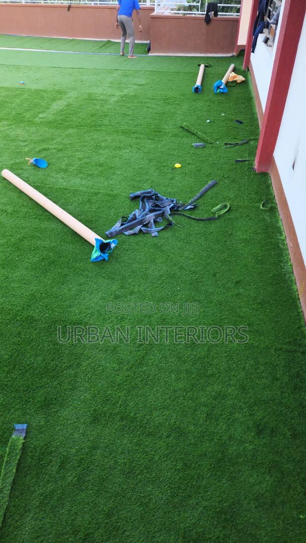 Turf Grass Turf Grass - main view