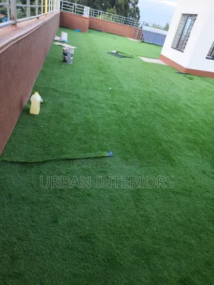 Turf Grass Turf Grass