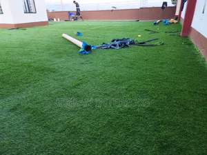 Turf Grass Turf Grass