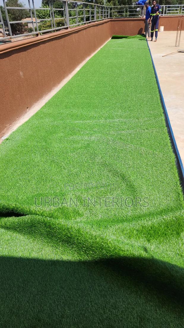 Grass Carpet Grass Carpet - main view