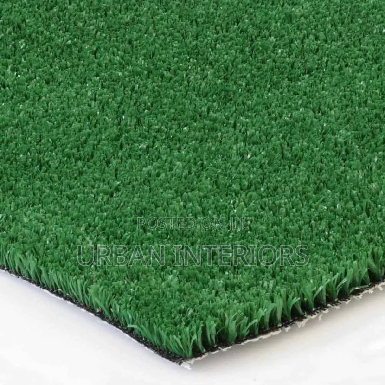 Turf Grass Turf Grass