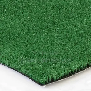 Turf Grass Turf Grass