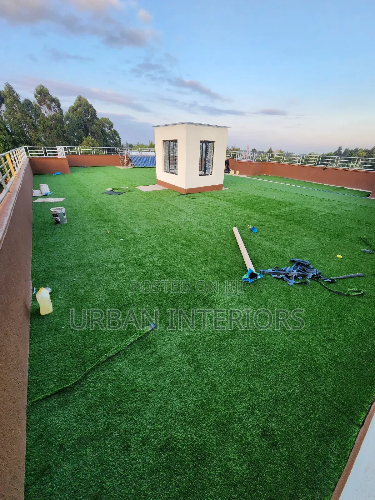 Green Carpet Green Carpet Green Carpet
