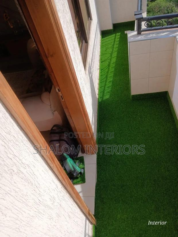 Turf Grass - main view