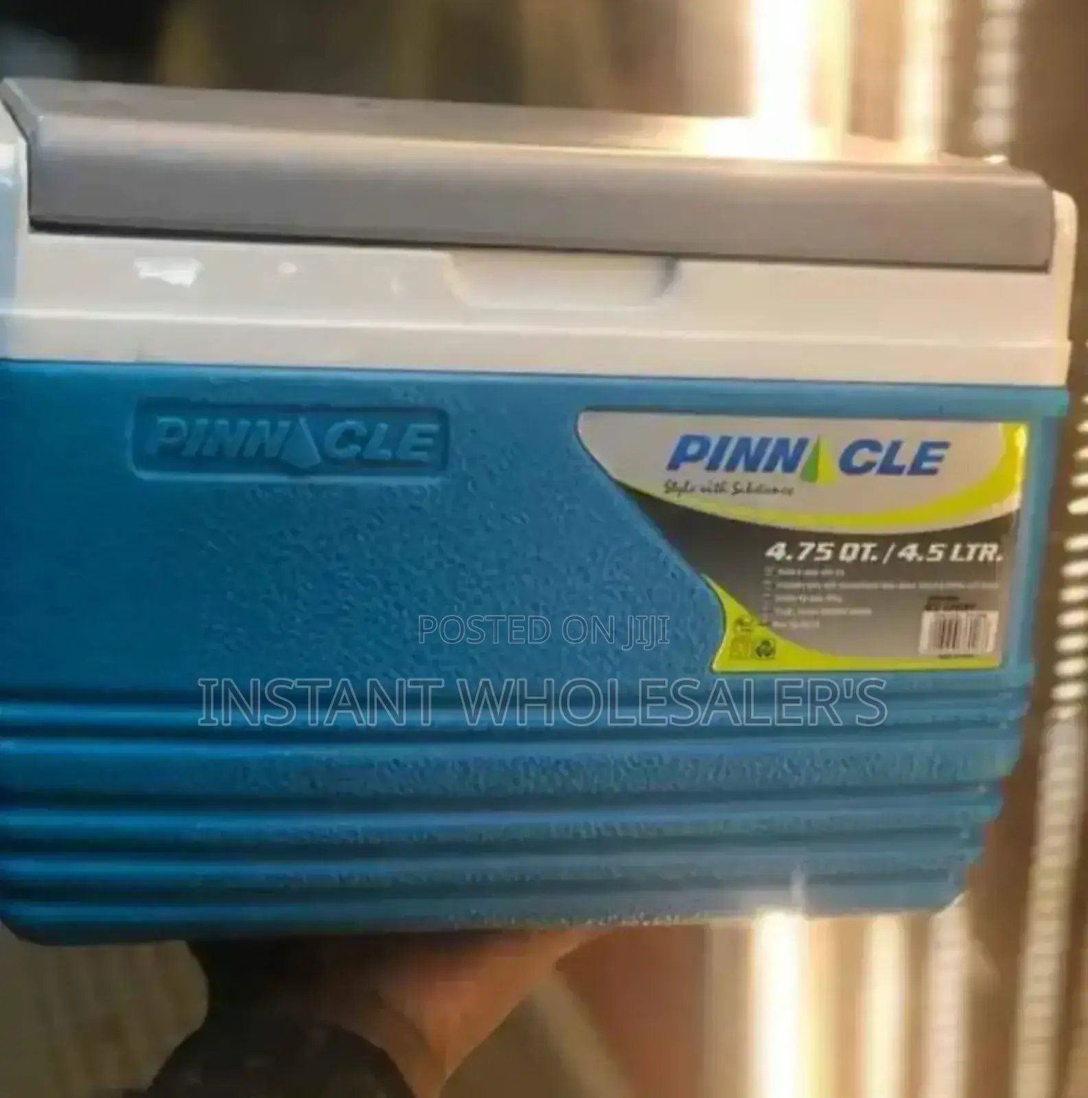 4.5 Litres Portable Cooler Box