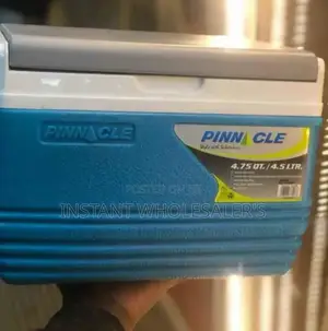 4.5 Litres Portable Cooler Box