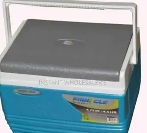 Pinnacle Cooler Box 4.5 Litres