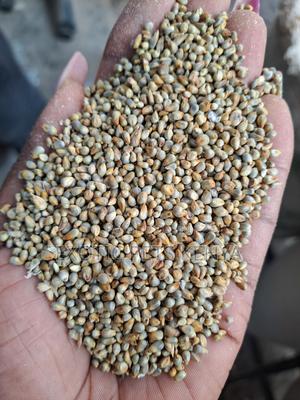 Millet (Mawele) - main view