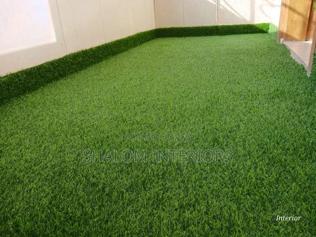 Turf Grass - main view