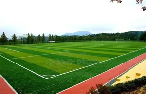 Artificial Grass Field