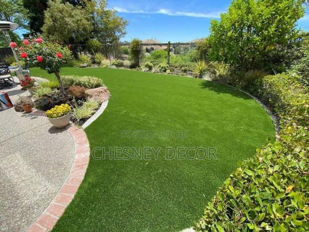 Small Backyard Grass Carpet
