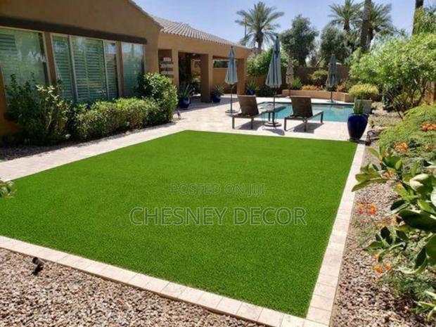 Synthetic Lawn