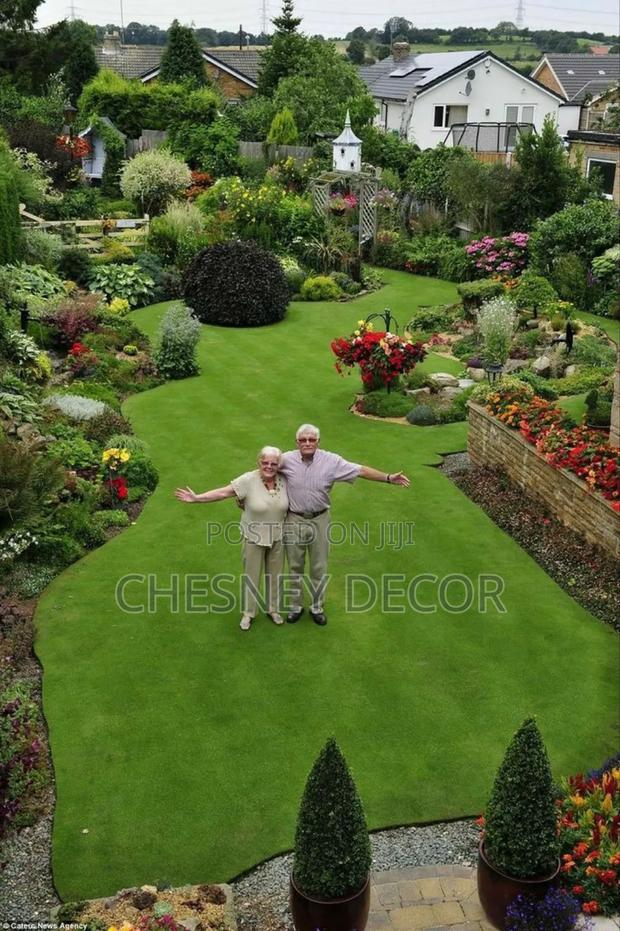 Low-Maintenance Grass Carpet