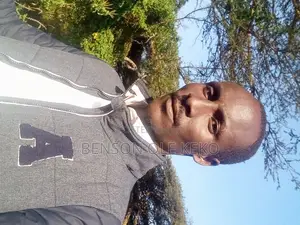 Sales Person