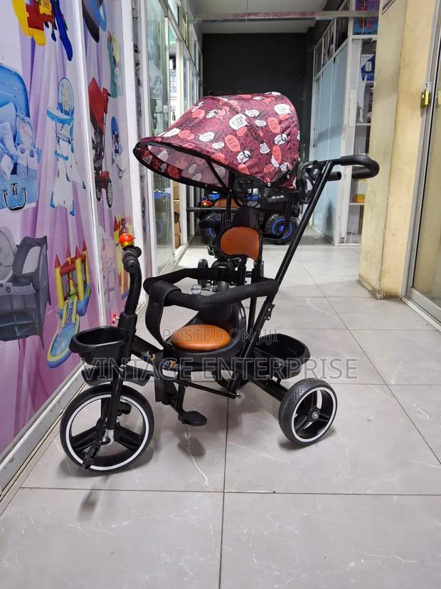 Kids Tricycle With Push Hand and Canopy - main view