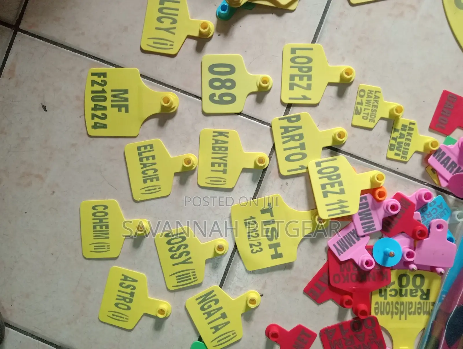 Cow, Goat, and Sheep Ear Tags - Assorted Customized