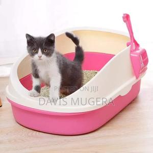 Semi Enclosed Cat Kitty Litter Pan Cat Litter Box - Small - thumbnail 2