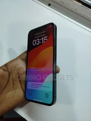 Apple iPhone 12 Pro Max 256 GB Blue