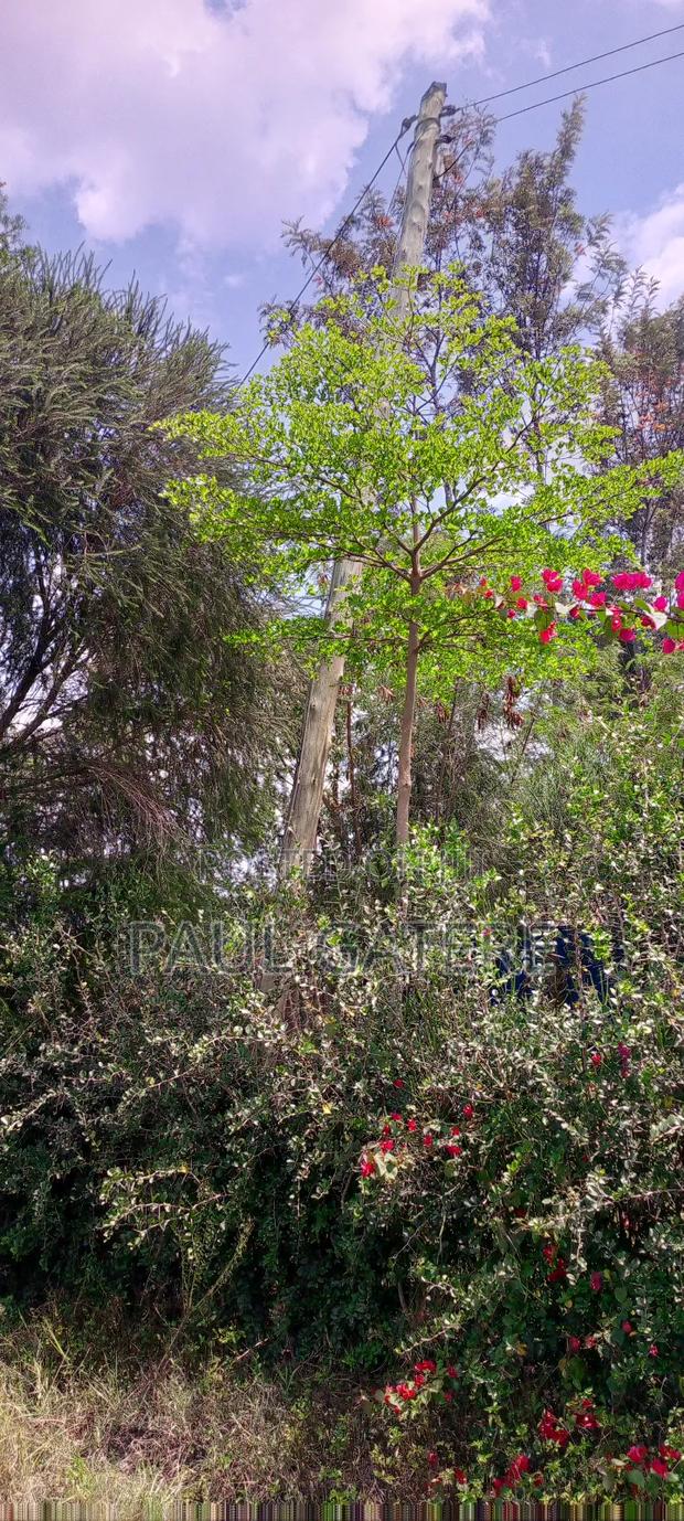 1/4acre Plot - main view