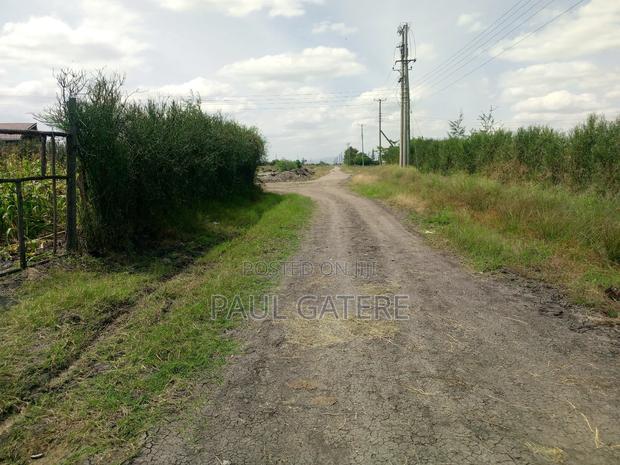 1/4acre Plot - thumbnail 3