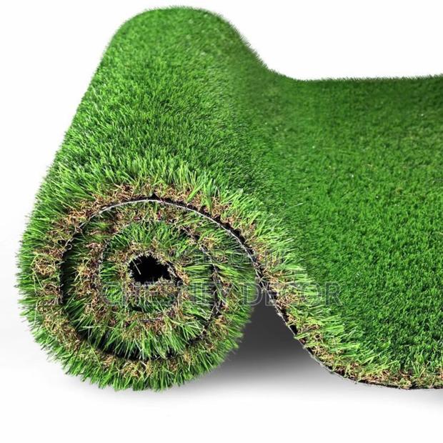 Grassy Carpet