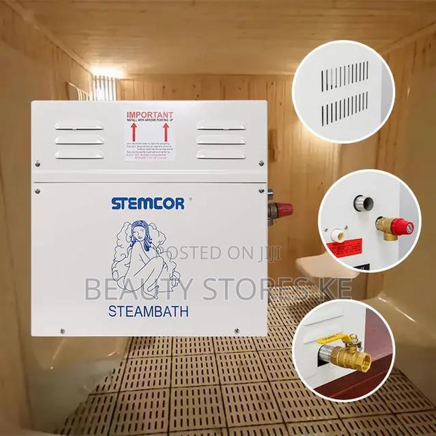 Spa Sauna Steam Bath Generator 8KV