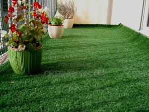 Grass Floor - thumbnail 2