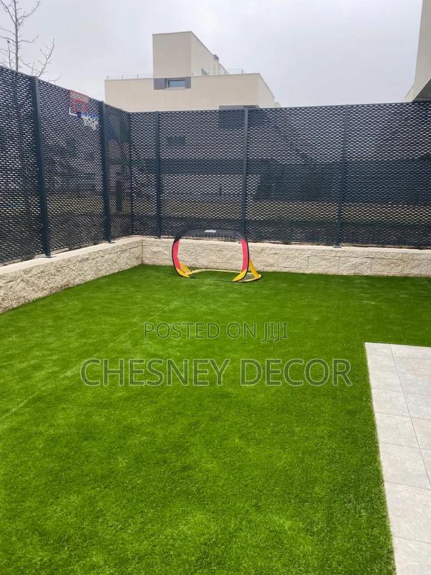 Grass Turfgrass Outdoor