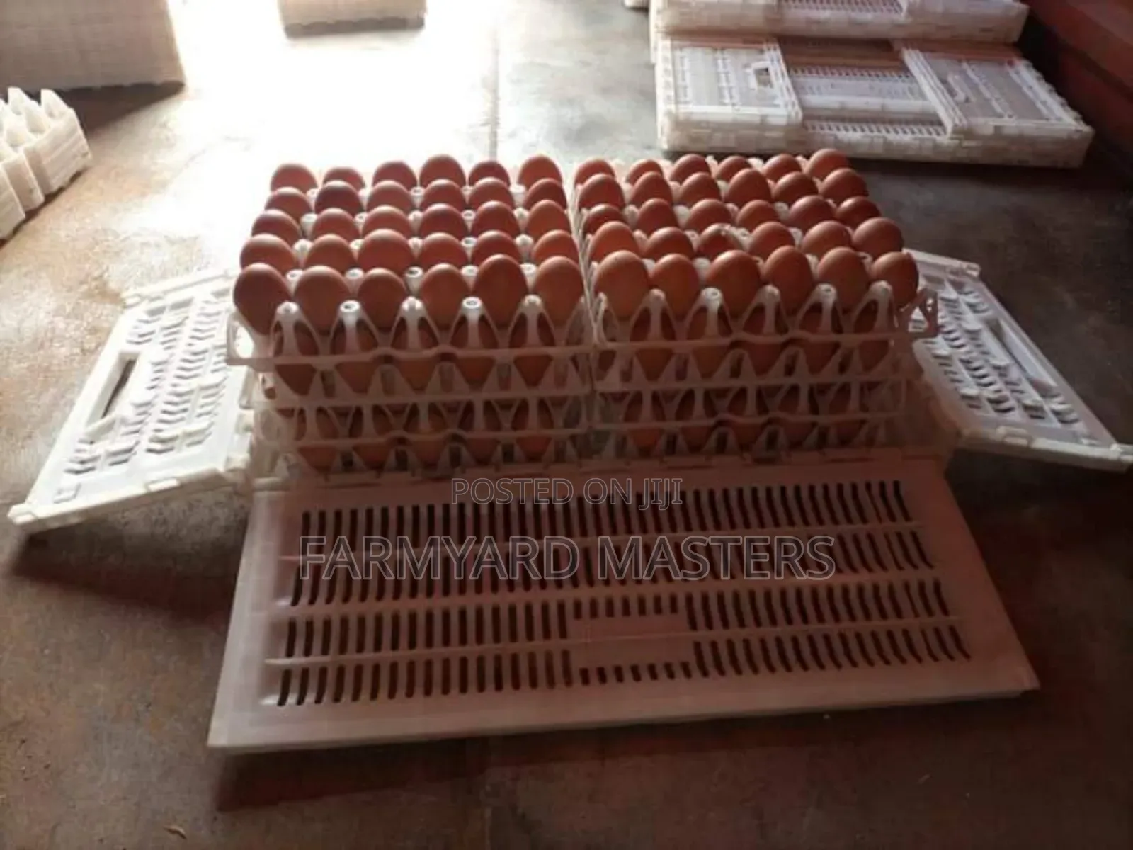 Egg Transportation Crates